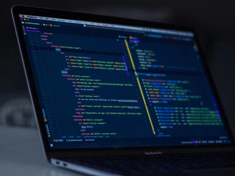 Content Management Systems: WordPress vs Custom Solutions